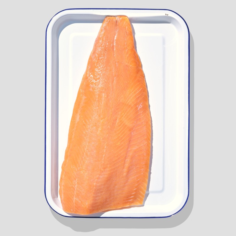 Lachsforelle Sihlmätteli
