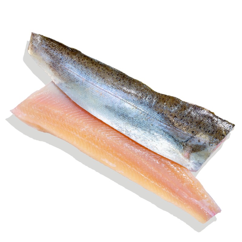 Regenbogenforelle, Filet